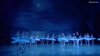 hung ballet: swan lake