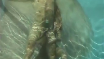 bitch sucks dick underwater in the pool
