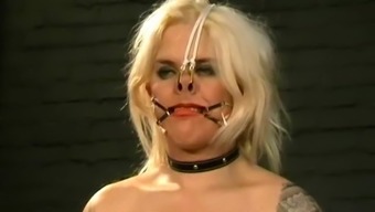 Busty amateur BDSM slave Cherrys nose hook bondage