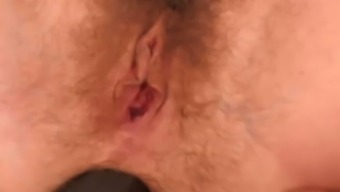 Not only hairy cunt but also hairy butthole of Adel welcomes BBC