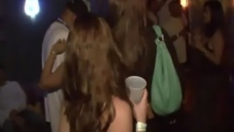 These Party Bunnies Show Their Tits In Live Action