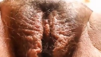 Chubby amateur Ebony shows closeup of hairy bush