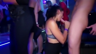 European party babes suck cock in middle of club