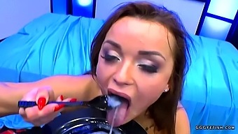Daphne klyde collecting and swallowing cums