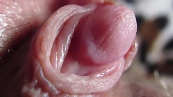 Milf With Hairy Pussy Teasing Her Slimy Clit Ultra-closeup
