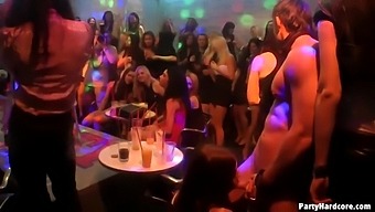 Hard Sex Party With Drunk Whores - Hard Sex