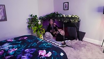 Catgirl disturbs her busy BF from cage and gets Big Cock in her ASS!