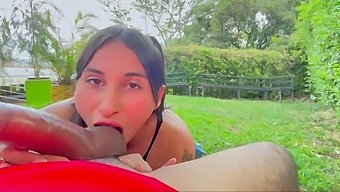 Amateur Latina enjoys outdoor ride and masturbation in POV style